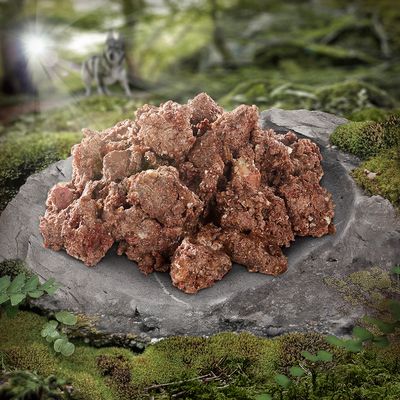 Wolf of Wilderness Adult 6 x 300 g Schale - Single Protein