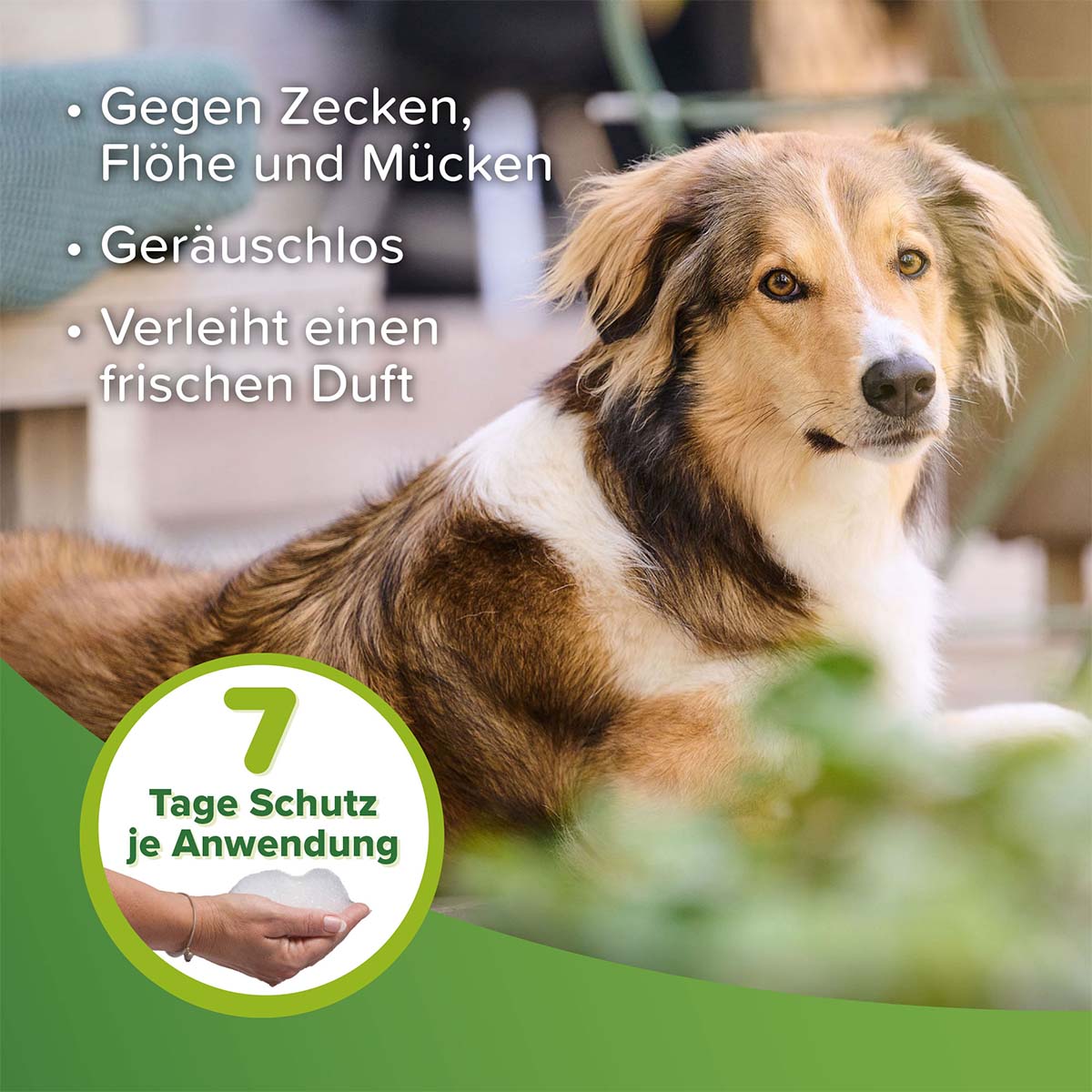 beaphar Zecken- und Flohschutz Shampoo 250ml kaufen bei ZooRoyal