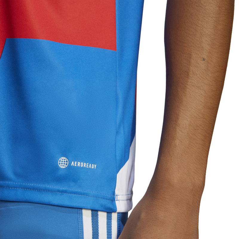 adidas FC Bayern München Prematch Funktionsshirt Herren