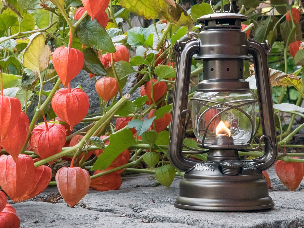 Feuerhand Baby Special 276 Bronze Sturmlaterne