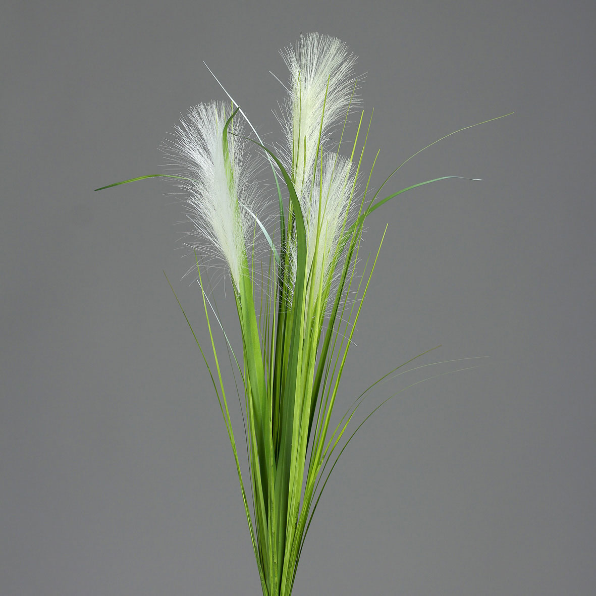DPIPalmgrasbusch 70cm