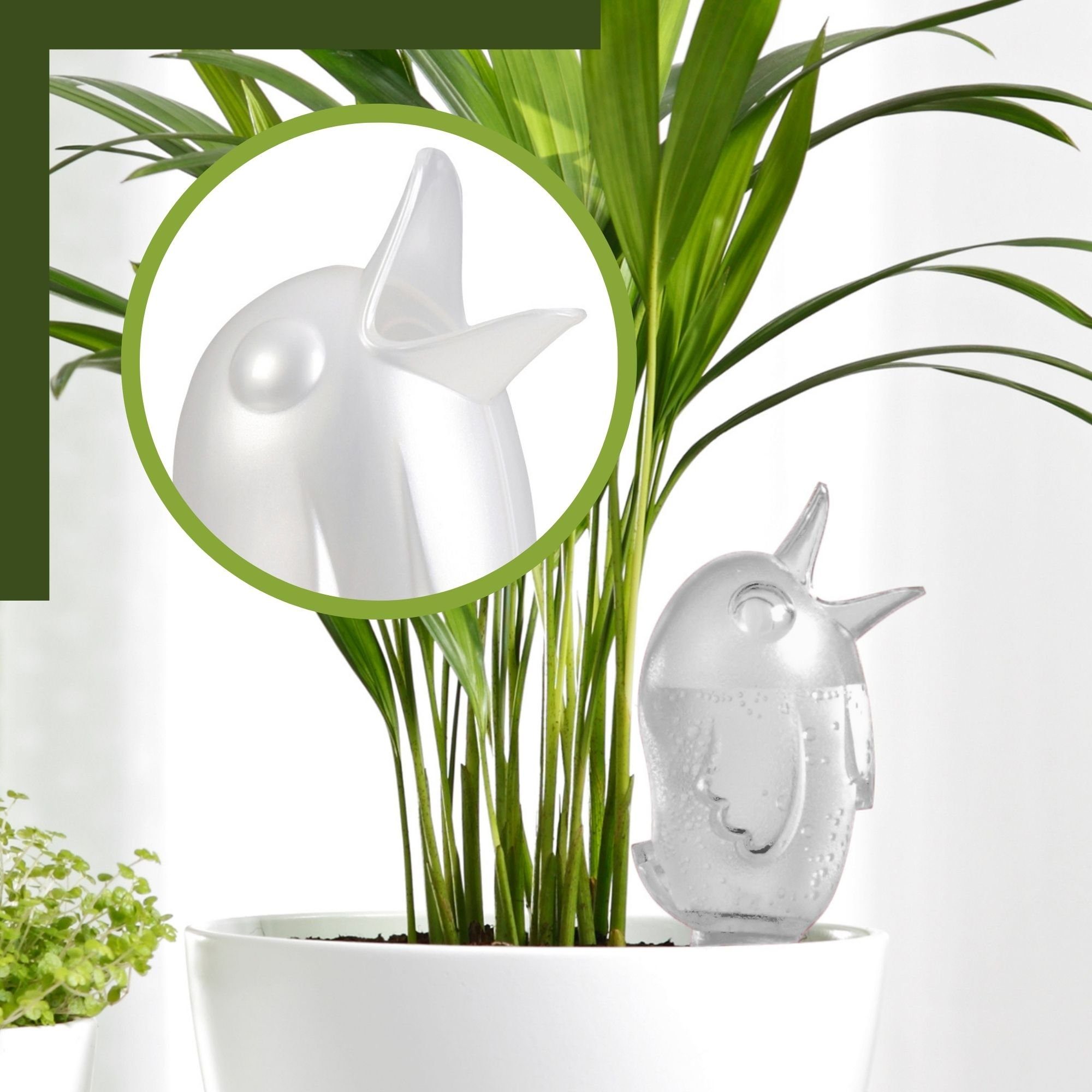 Scheurich Bewässerungssystem -, (Spar-Set, 2-tlg), Scheurich Wasserspender Bördy S 90 ml