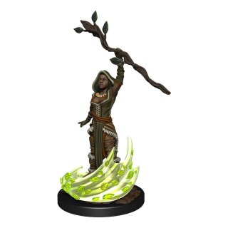 D&D Nolzur's Marvelous Miniatures - Human Druid Female