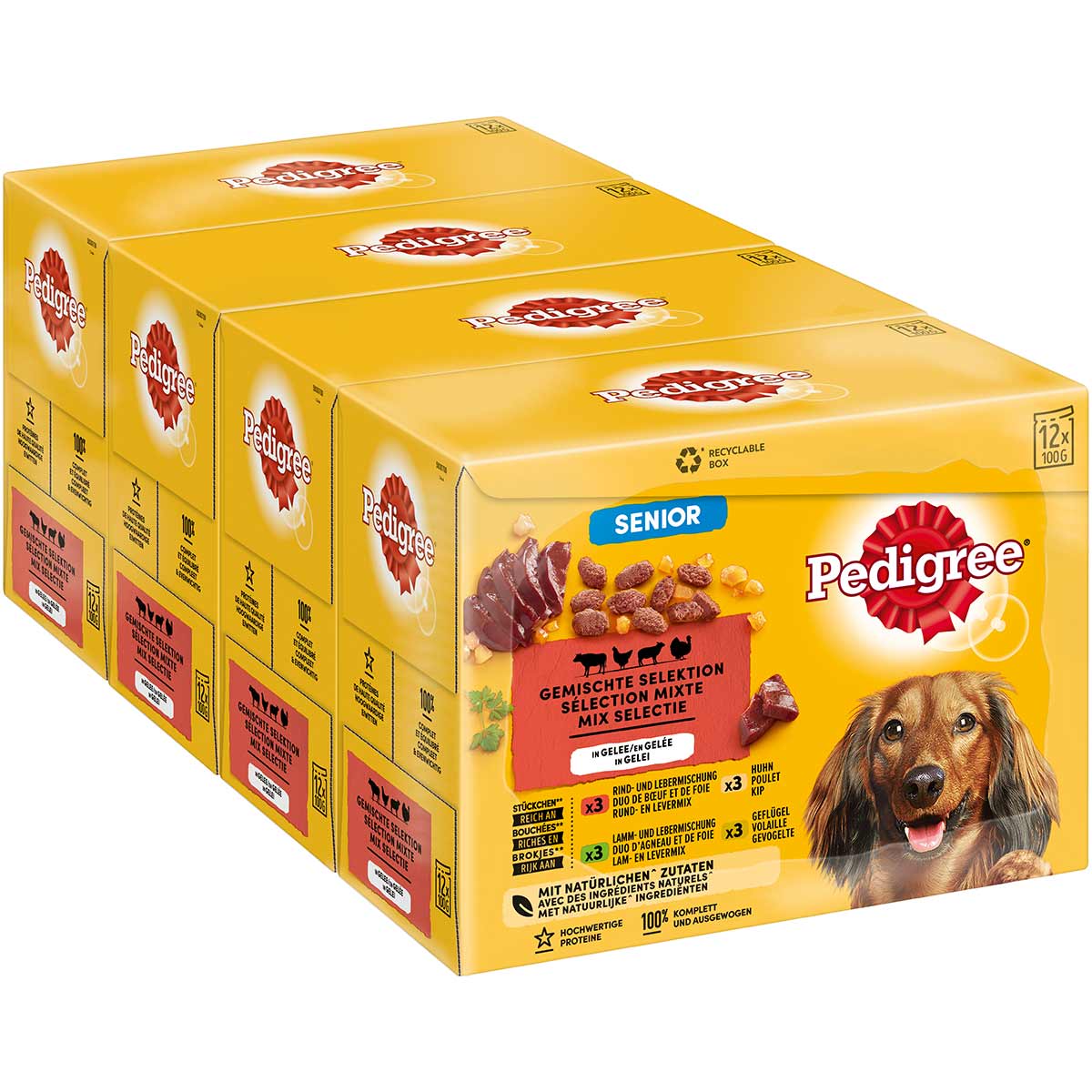 Pedigree Senior Gemischte Selektion in Gelee 12x100g bei ZooRoyal