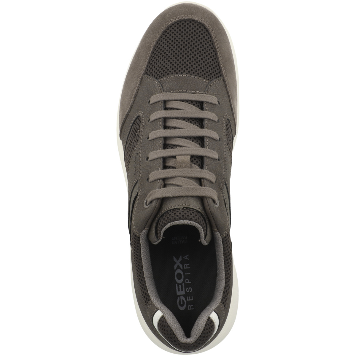 Geox U Damiano A Sneaker Low dunkelgrau