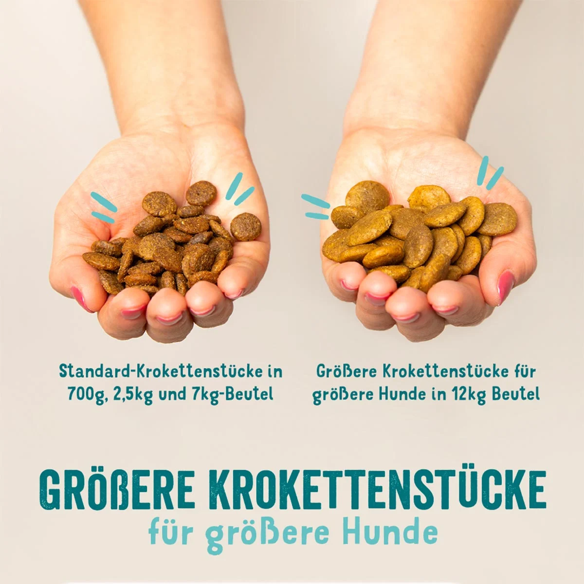 Edgard & Cooper Frischer norwegischer Lachs kaufen bei ZooRoyal