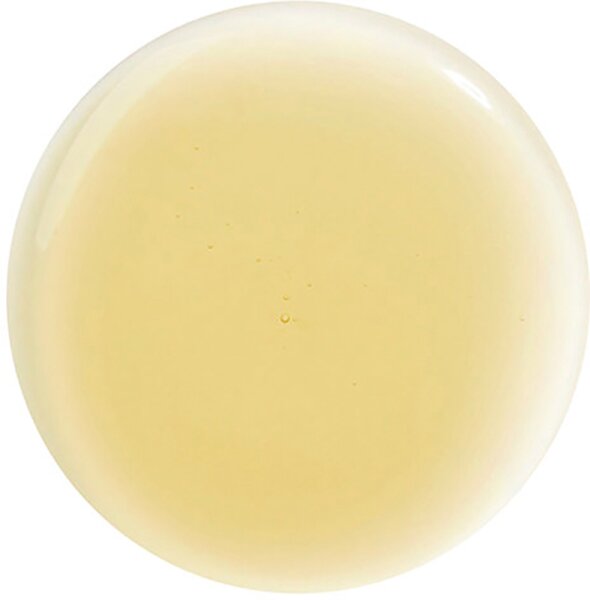 Hair Rituel by Sisley Soin Lavant Revitalisant Lissant Shampoo
