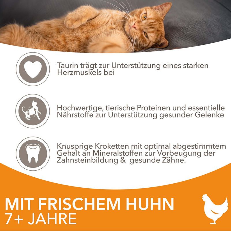 IAMS Advanced Nutrition Senior Cat mit Huhn