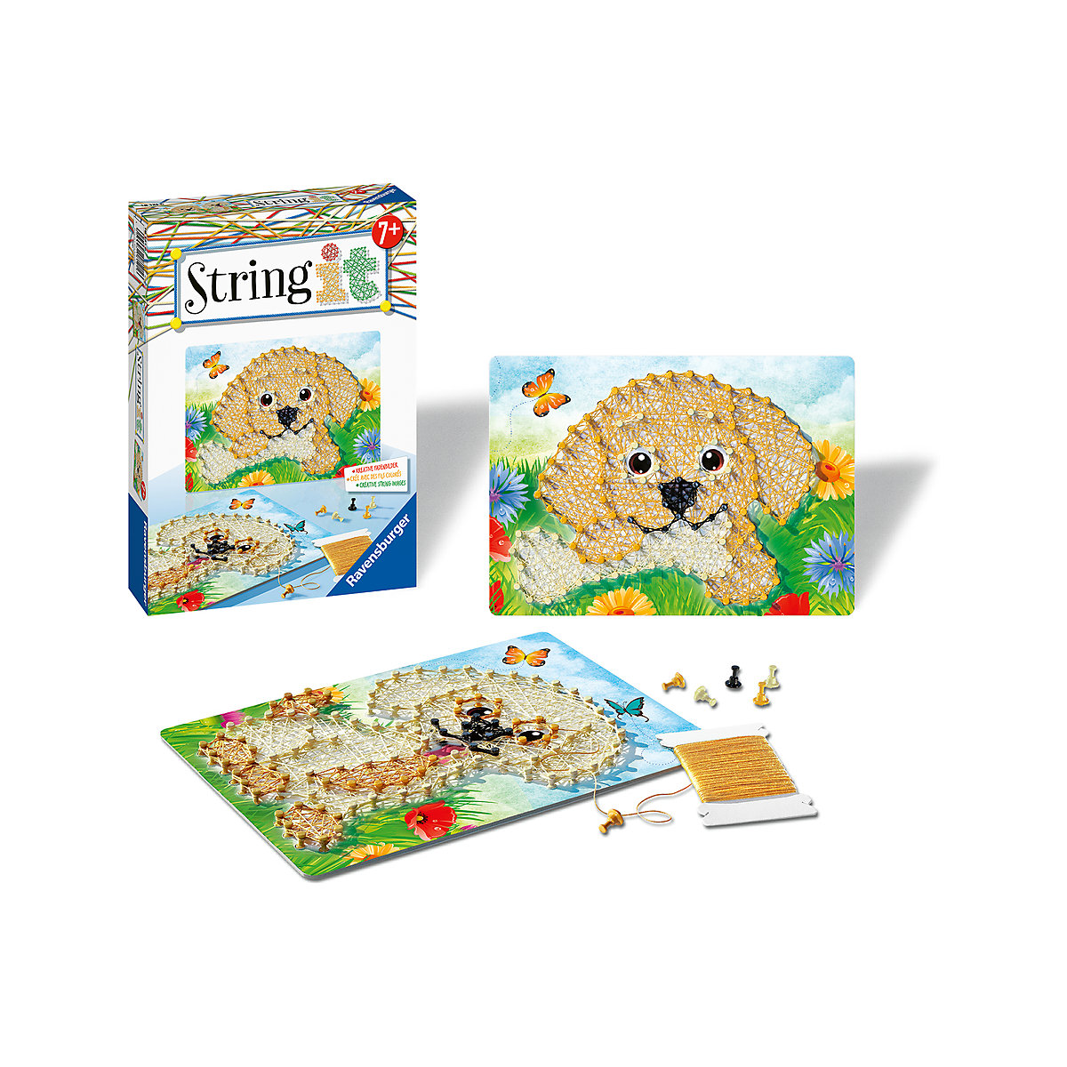 String it Mini Dogs