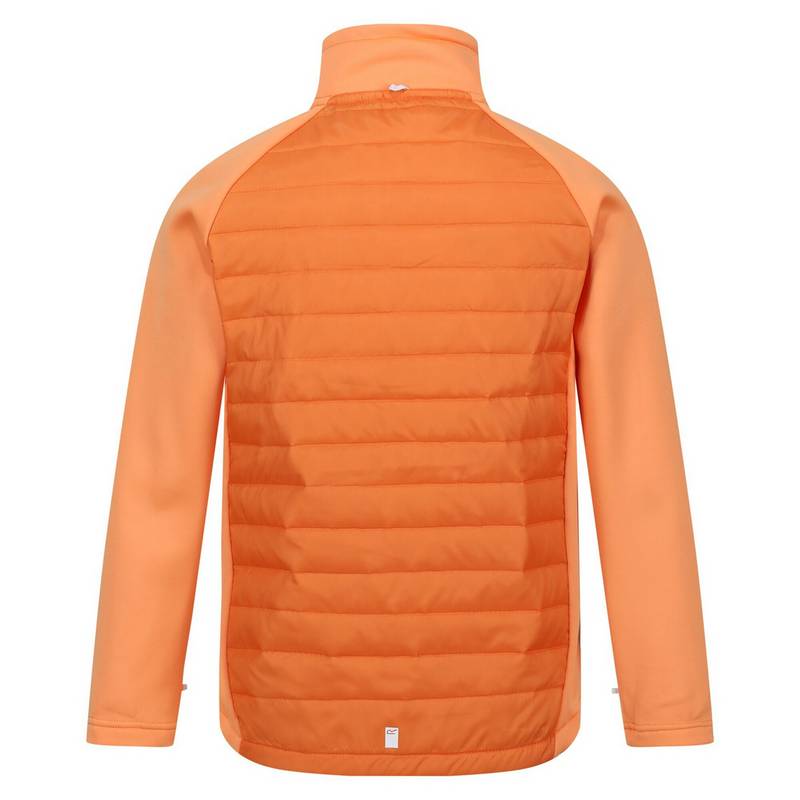 Regatta Hydrate VIII Doppeljacke Kinder