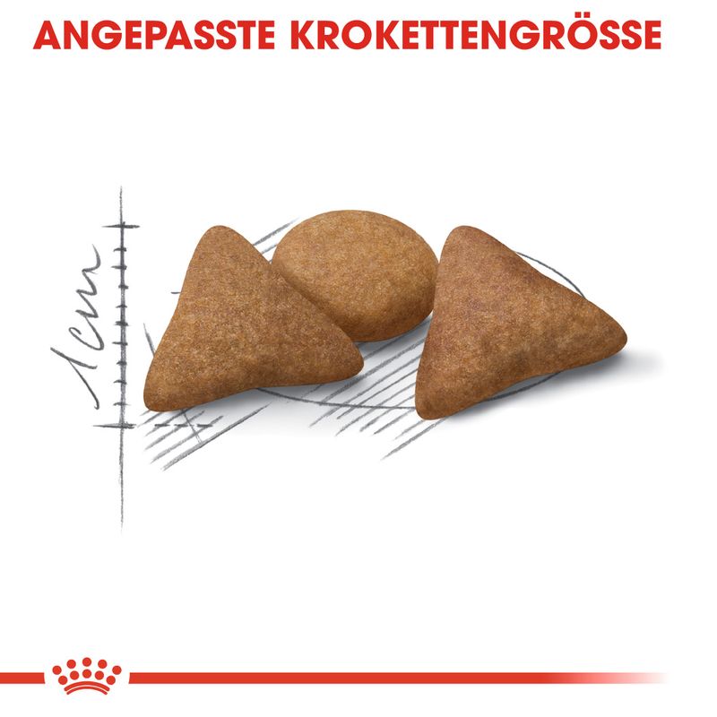 Royal Canin Indoor Appetite Control zu TOP-Preisen