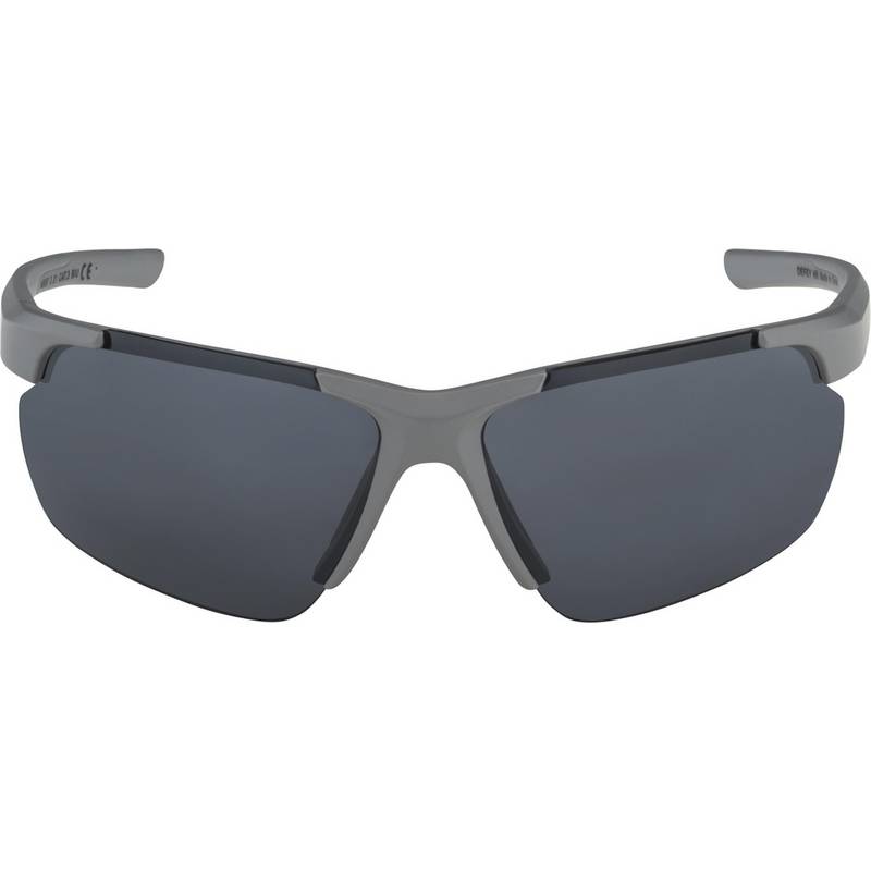 ALPINA DEFEY HR Sportbrille