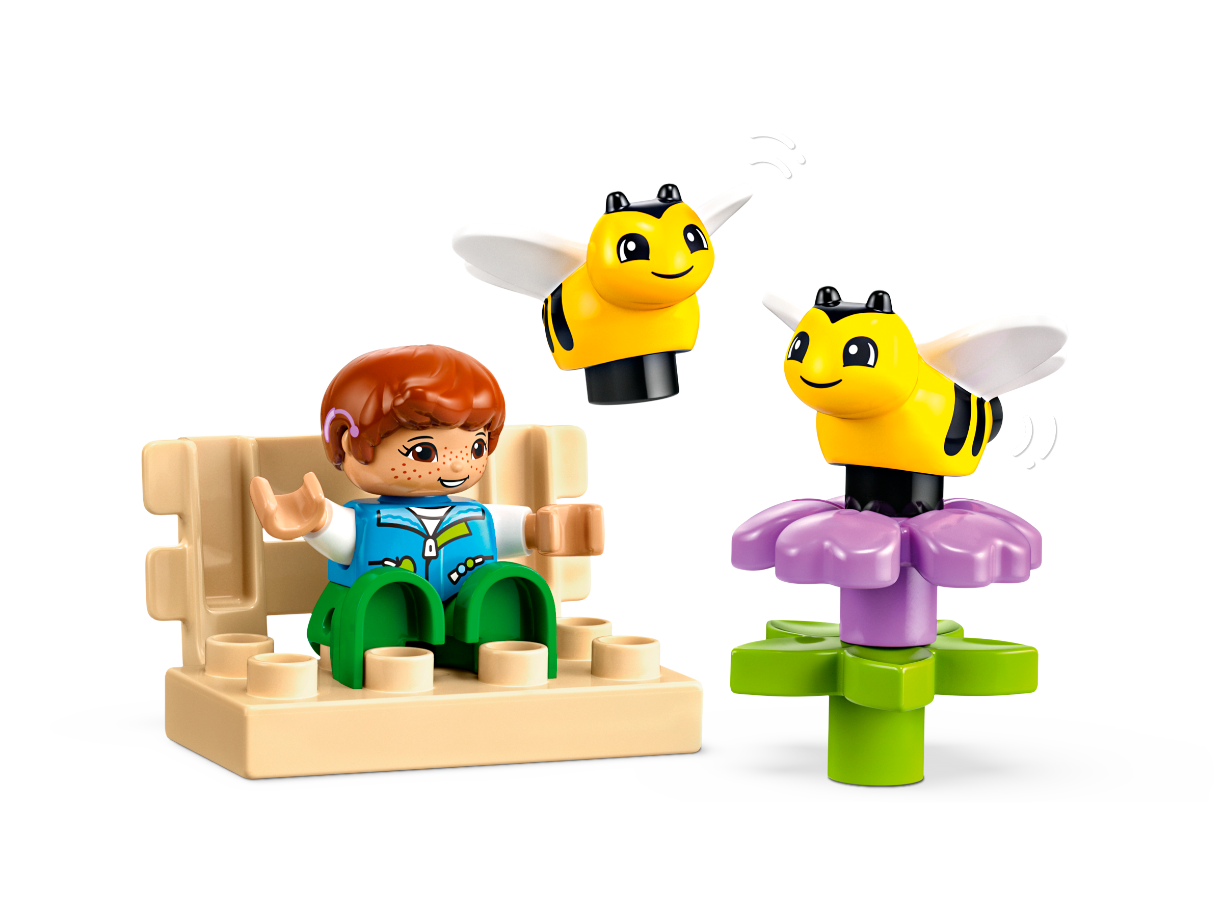 Prendre soin des abeilles et des ruches 10419