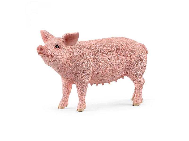 Cochon