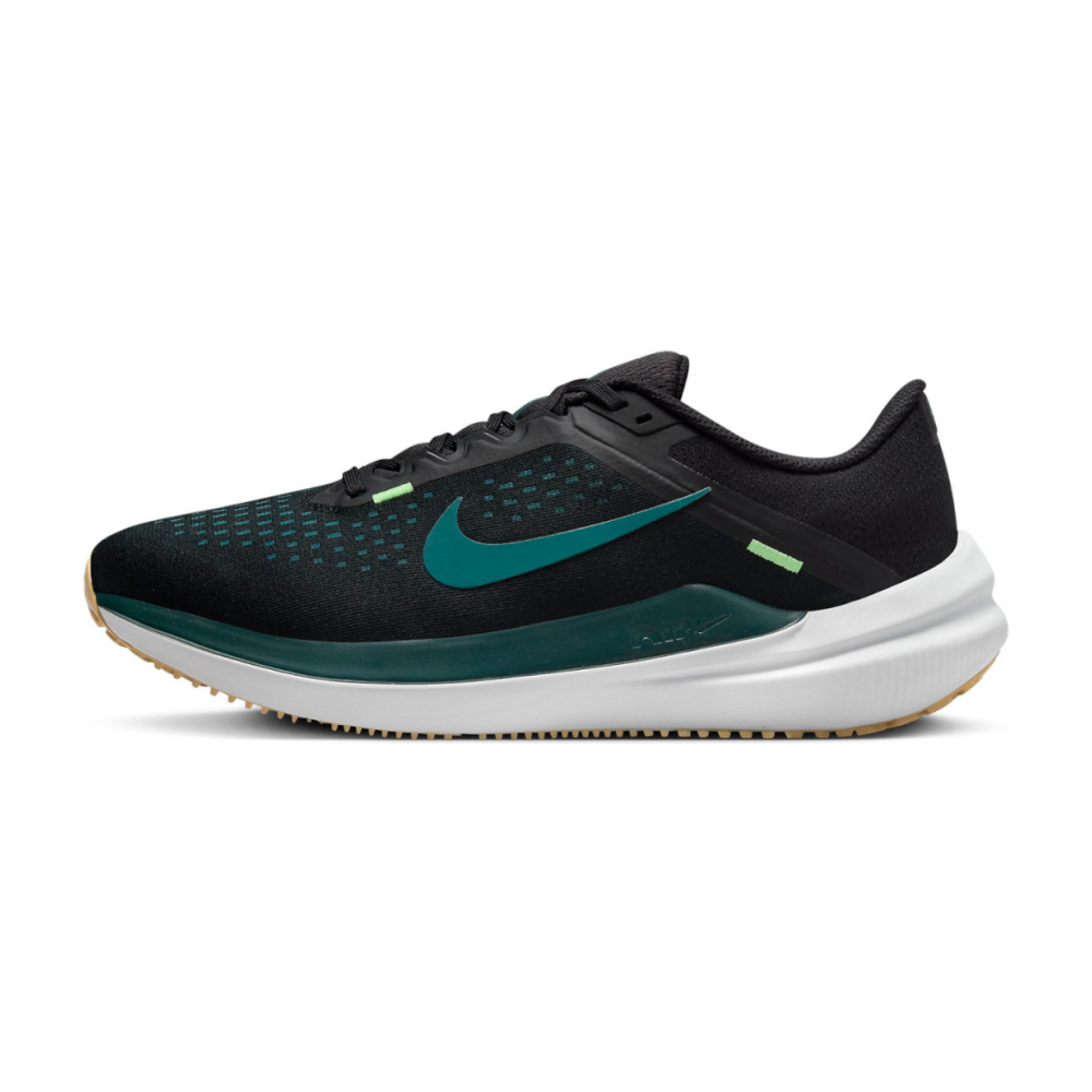 Nike Winflo 10 DV4022-008 / schwarz