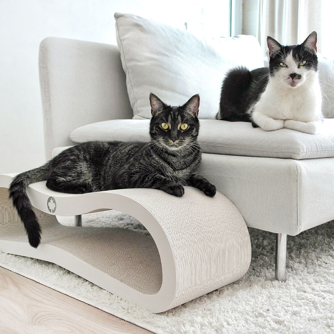 Canadian Cat Company Kratzbretter & Kratzpappen Canadian Cat Company Kratzbrett Orbit 2.0 weiß