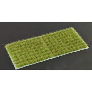 Dry Green 6mm Small