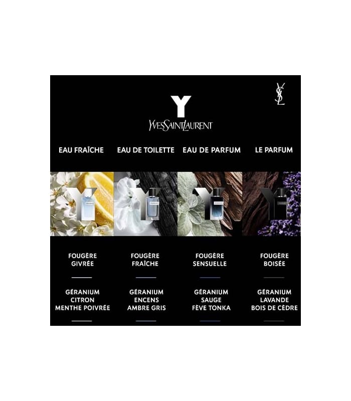 YVES SAINT LAURENT-Y LE PARFUM-Eau de Parfum
