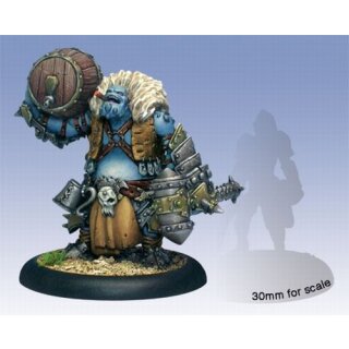 Trollbloods Skaldi Bonehammer Champion Character (PIP71050)