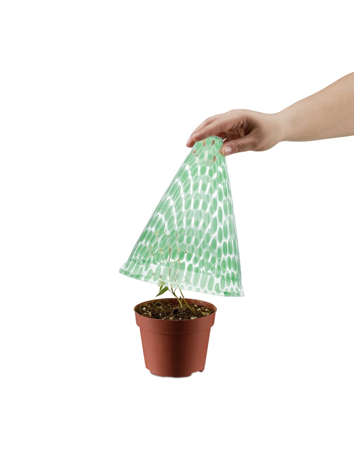 relaxdays 10 x Pflanzenhut in Grün/ Transparent - (B)19 x (H)22 x (T)19 cm günstig kaufen onesize