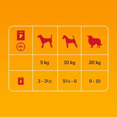 Pedigree Senior Frischebeutel Multipack Nassfutter für Hunde