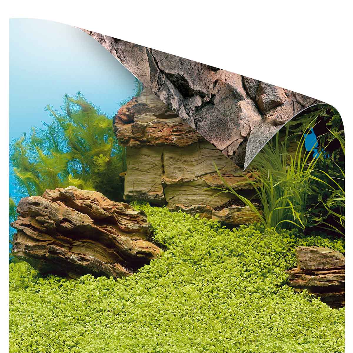 Juwel Rückwand Poster für Aquarium günstig kaufen