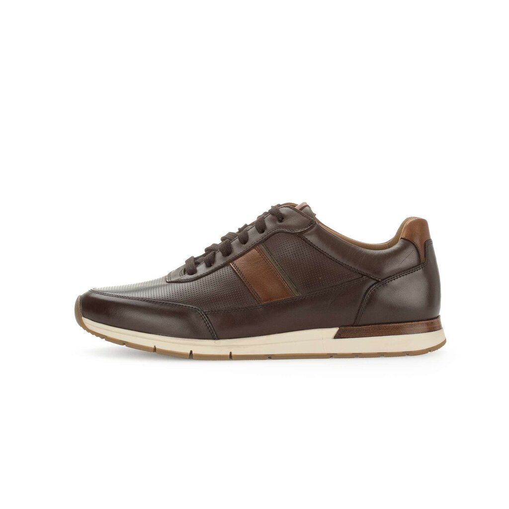 Pius Gabor PG1047 Sneaker low braun