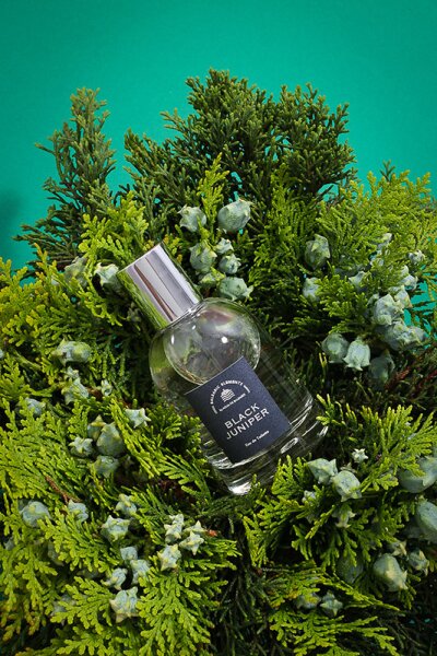 Agua de Baleares Balearic Elements Collection Black Juniper Eau de Toilette