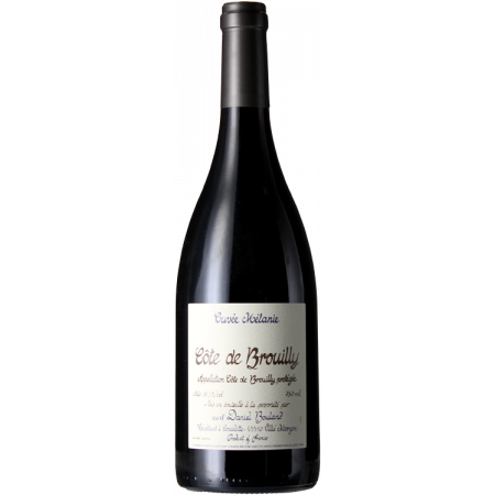 CÔTE DE BROUILLY CUVEE MELANIE 2021 - DANIEL BOULAND