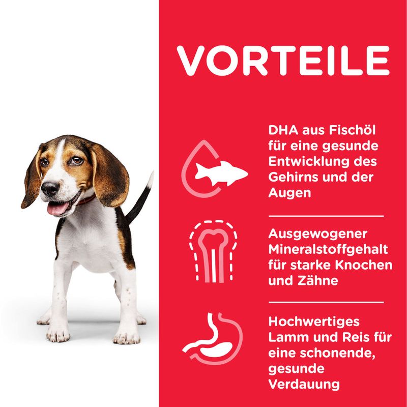 Hill's Science Plan Puppy <1 Medium mit Lamm & Reis