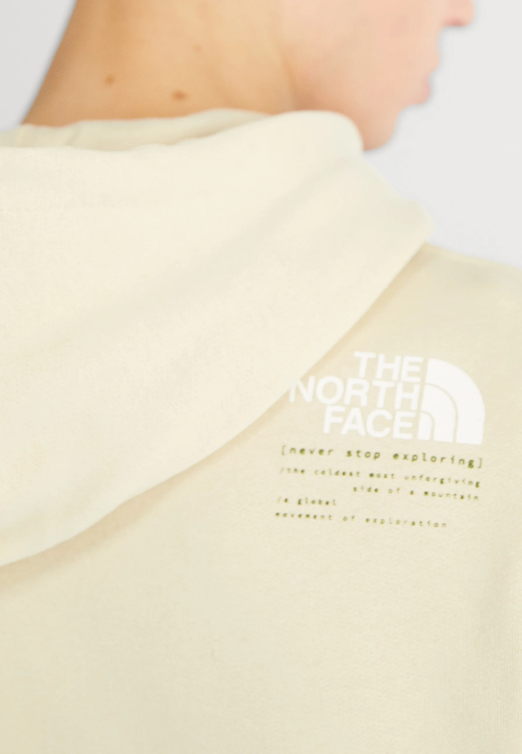 The North Face GRAPHIC - Sudadera