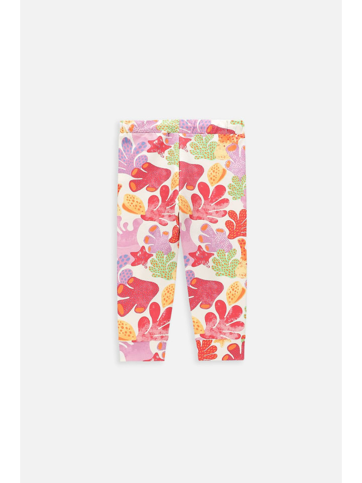 Coccodrillo Sporthose  in bunt günstig kaufen