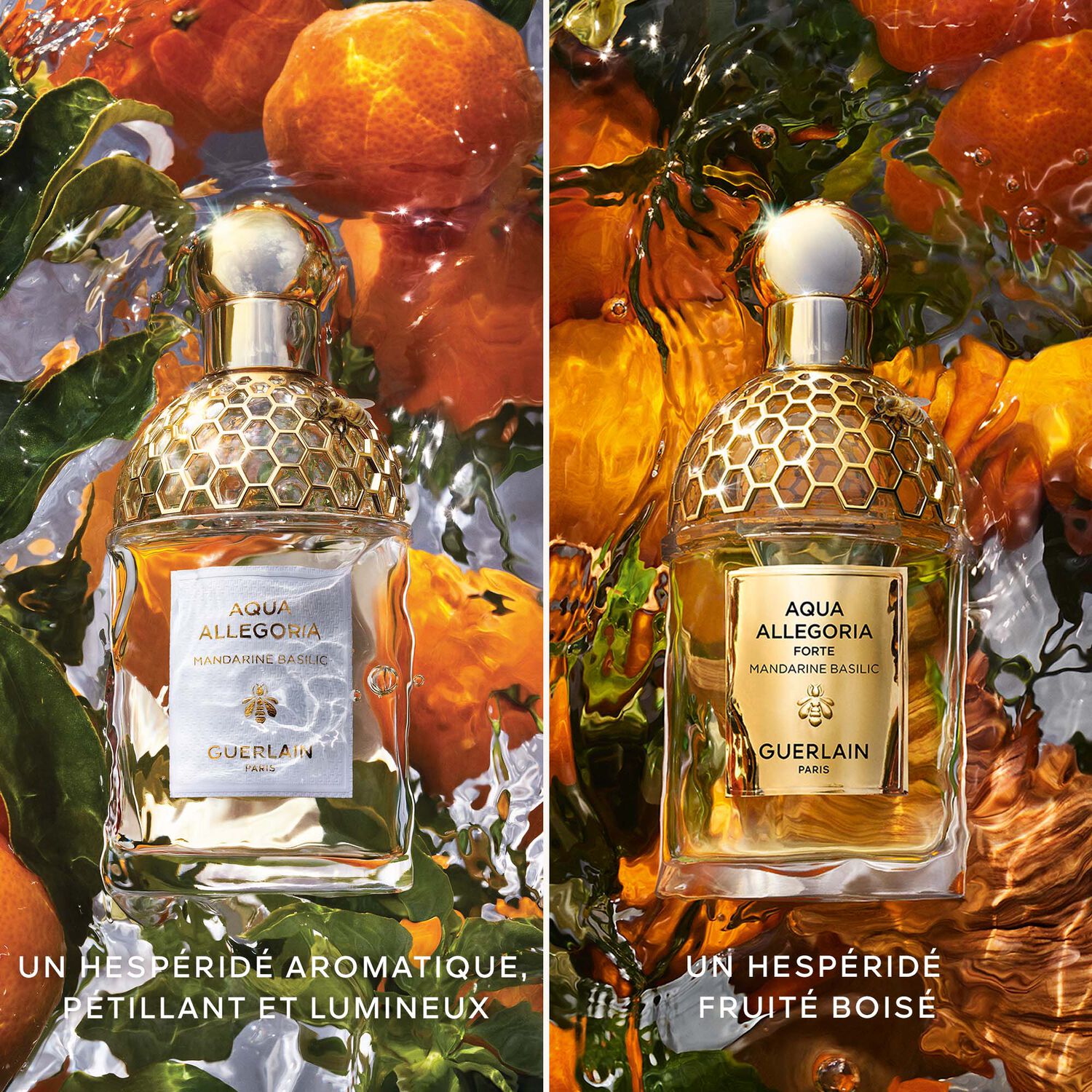 Guerlain Aqua Allegoria Forte Mandarine Basilic Eau de Parfum