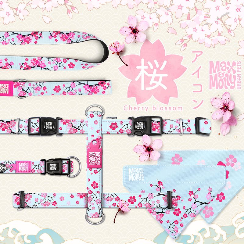 Max & Molly H-Geschirr Cherry Bloom zu TOP-Preisen