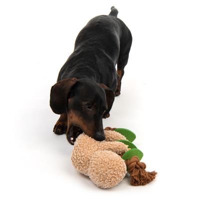 Hundespielzeug Faultier