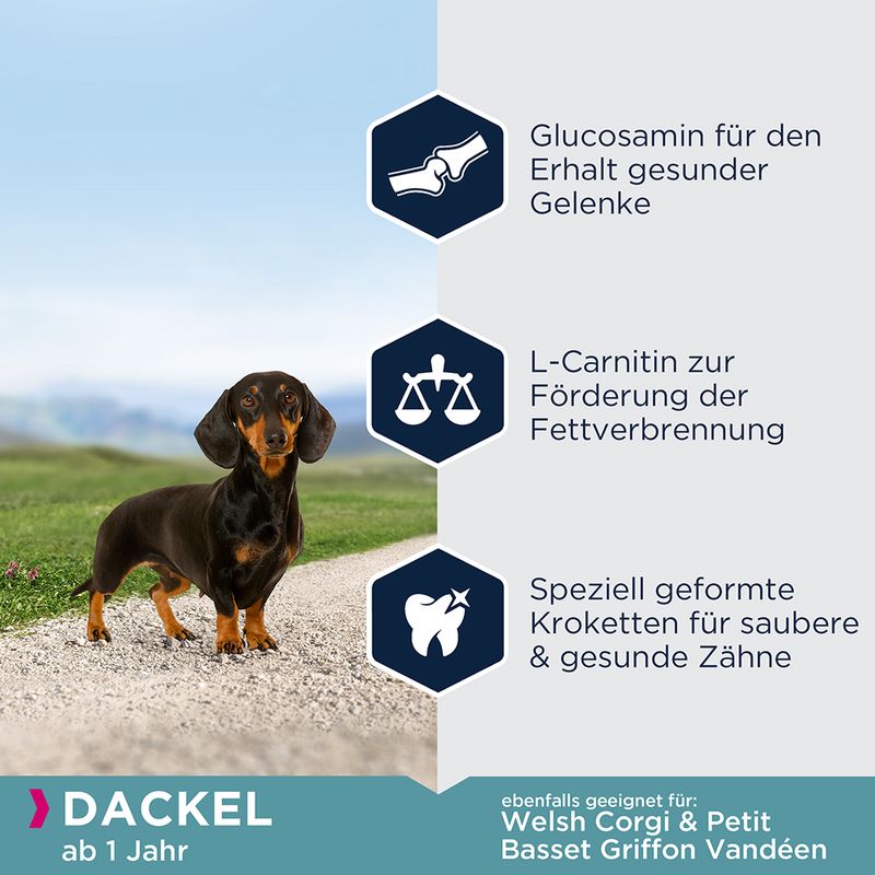 Eukanuba Adult Breed Specific Dachshund