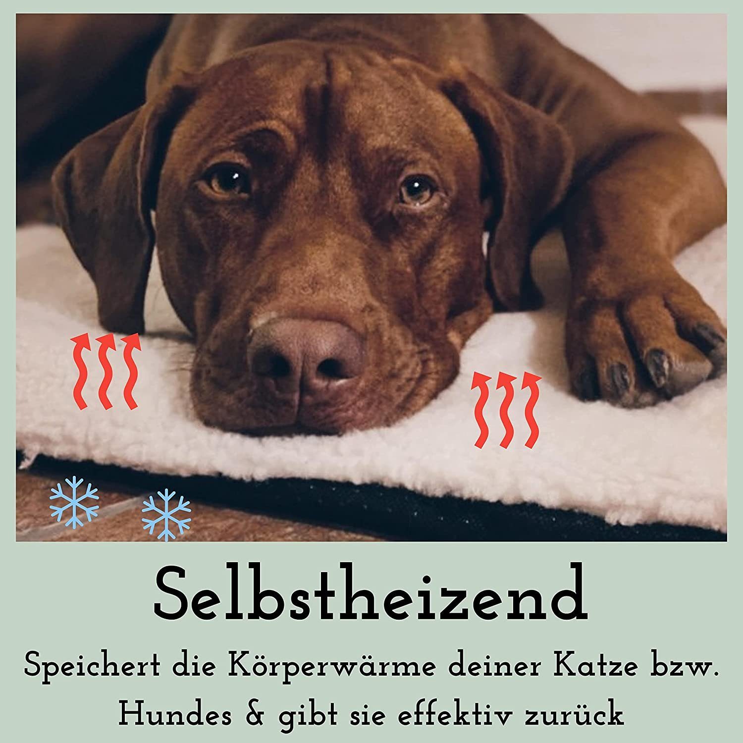 riijk Tierdecke Heizdecke, Wärmedecke für Hunde und Katzen, Vlies, Selbstheizende Hundedecke & Katzendecke