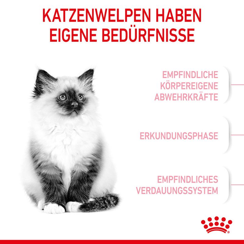 Royal Canin Kitten zu TOP-Preisen