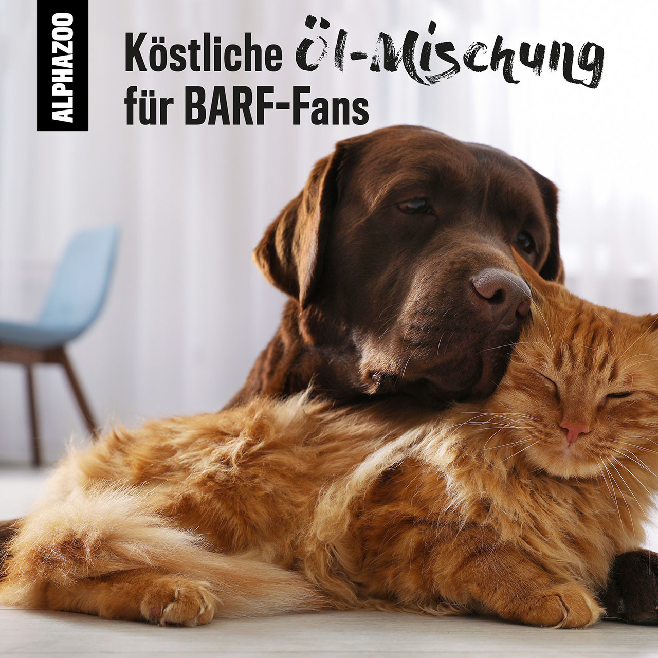ALPHAZOO Ergänzungsfutter & Aufzucht ALPHAZOO Alpha-Barf Futteröl für Hunde und Katzen 250 ml