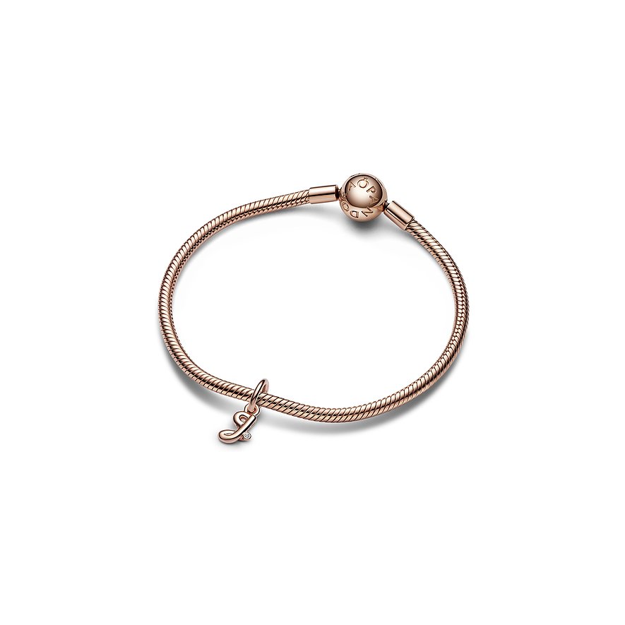 Pandora Charm Moments