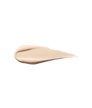 Shiseido Synchro Skin Self-Refreshing Concealer-5.8 ml