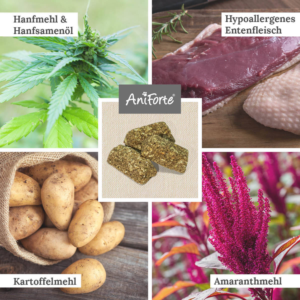 Aniforte Ergänzungsfutter & Aufzucht Aniforte Hanfkekse 200g