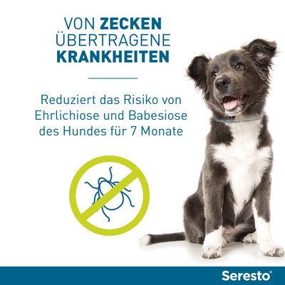 Seresto® Halsband Hund