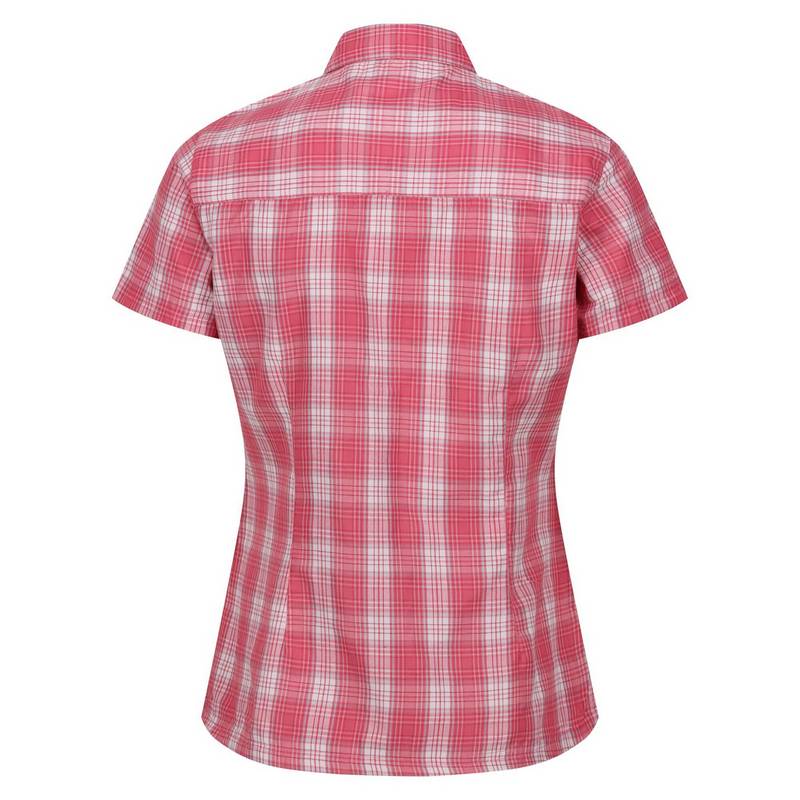 Regatta Mindano VII Funktionsbluse Damen