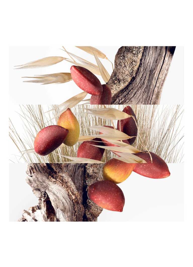 HERMÈS A Cyther Garden tualetes ūdens
