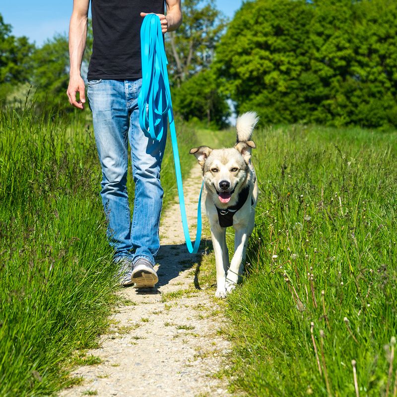 Pawz & Pepper Schleppleine Strong - blau zu TOP-Preisen