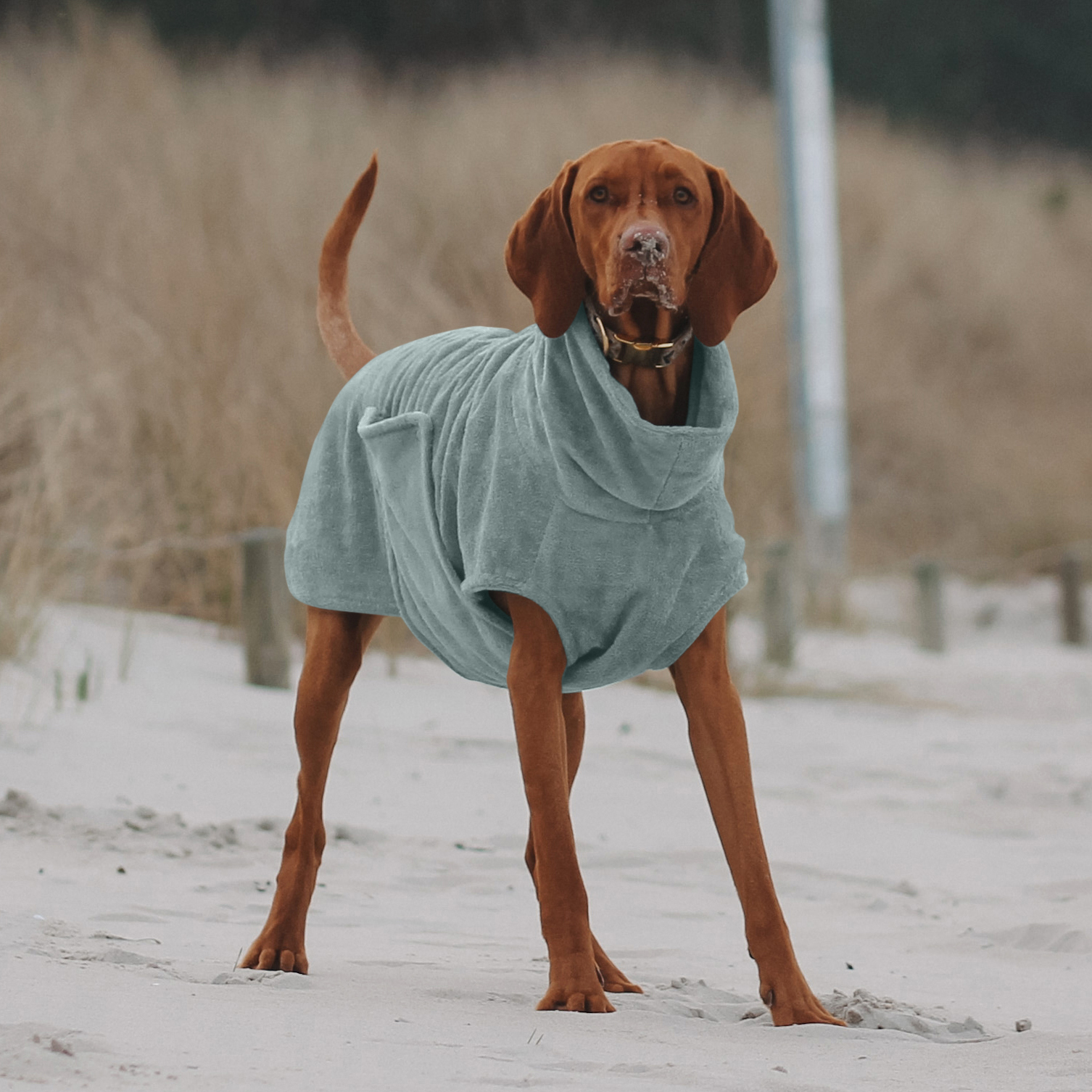 THE DOG IDEA Hundemäntel THE DOG IDEA Bademantel Every Mint XS