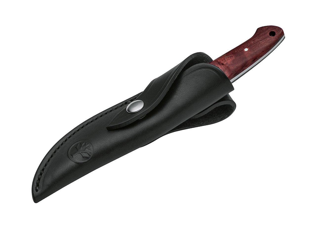 Integral II Maserbirke