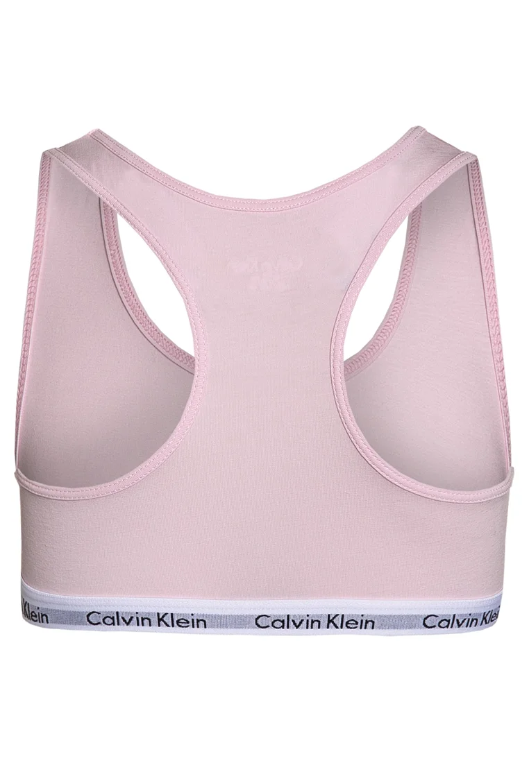 Paquete de 2 calzoncillos Calvin Klein - Bustier