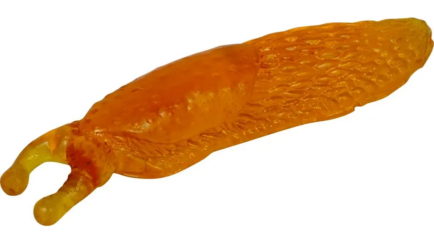 Die Spiegelburg - Glibber-Schnecke - Wild+Cool (orange)